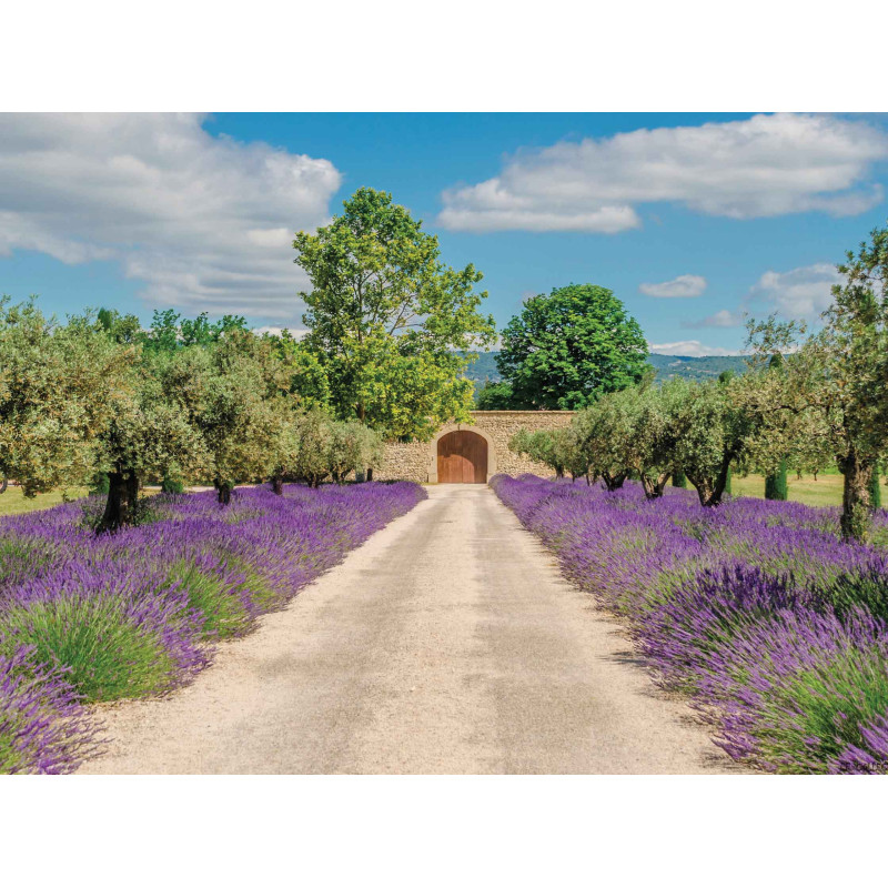 Lavendel deur 70x50cm