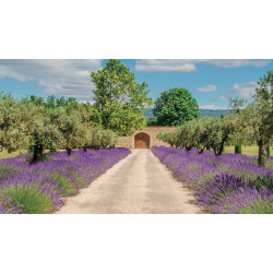 Lavendel deur 130x70cm