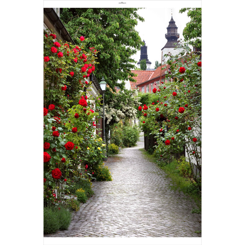 Tuindoek Alley roses 140x210cm