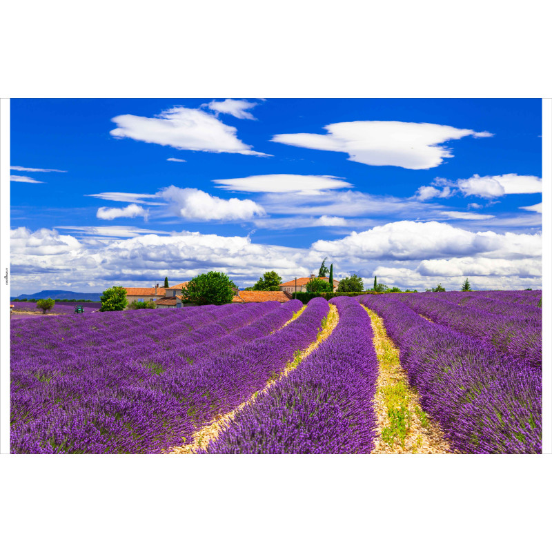 Tuindoek Lavendel 210x140cm