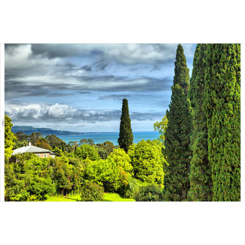 Tuindoek Cypressen 210x140cm