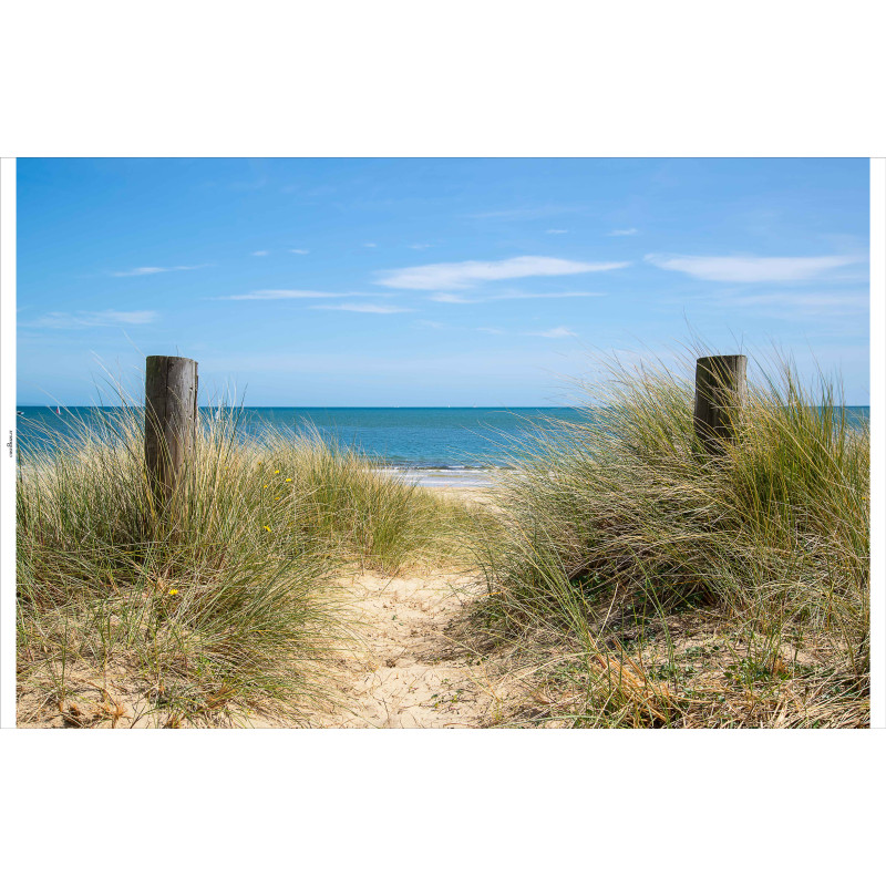 Tuindoek Duinpalen 210x140cm