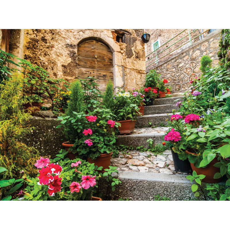 Tuinschilderij Trap met geraniums 70x50cm