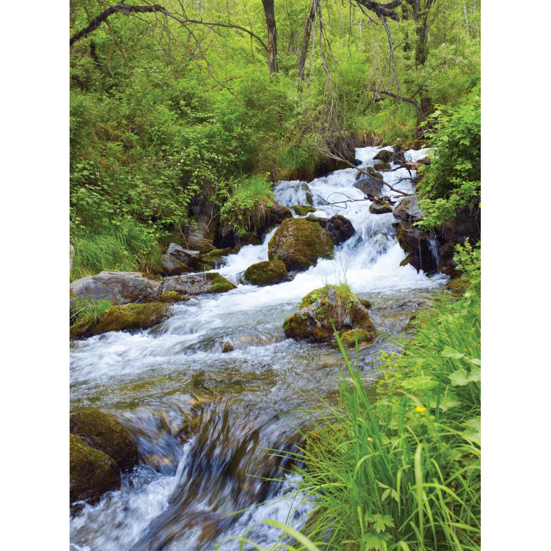 Tuinschilderij Waterbeek 50x70cm