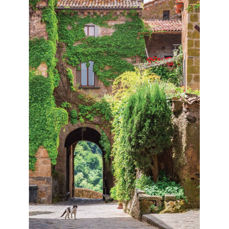 Tuinschilderij Klimop poes 50x70cm