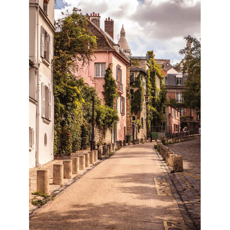 Tuinschilderij Parijs 50x70cm