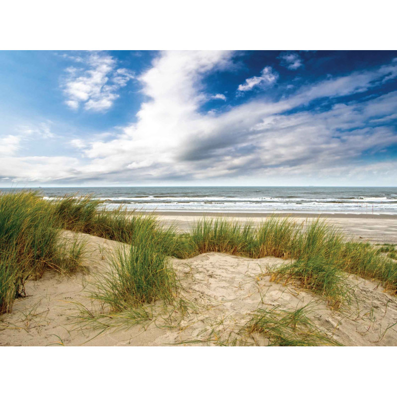 Tuinschilderij Strand wolk 70x50cm