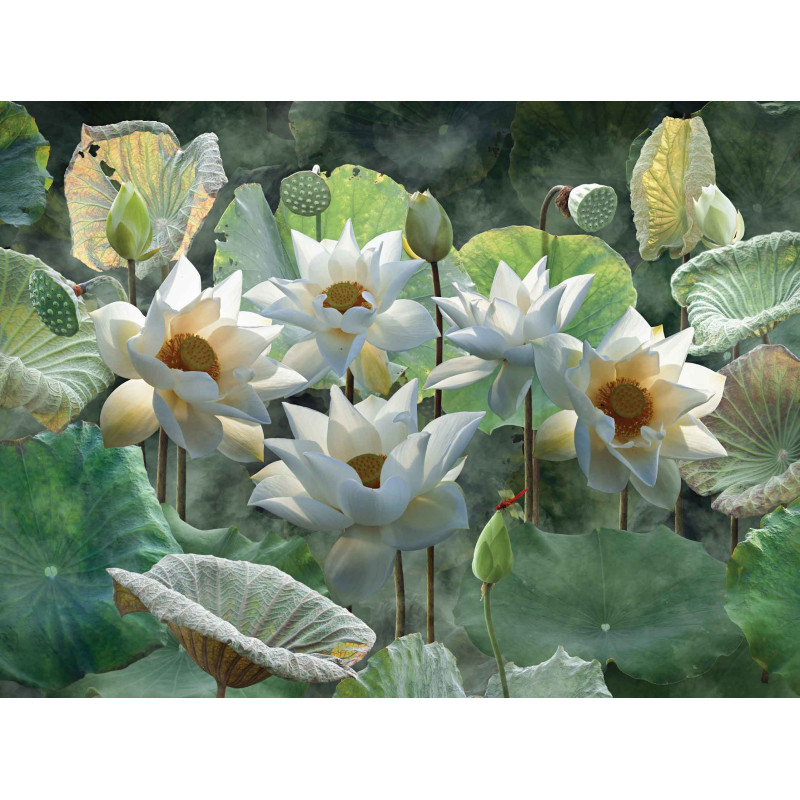 Tuinschilderij Lotusbloemen 70x50cm