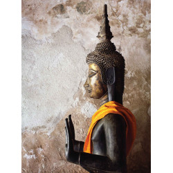 Tuinschilderij Boeddha...