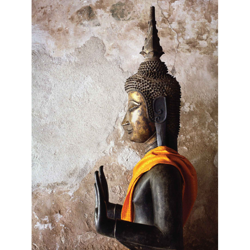 Tuinschilderij Boeddha zijkant 70x50cm