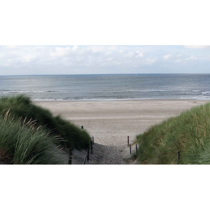 Tuinschilderij Duinpad zeezicht 130x70cm