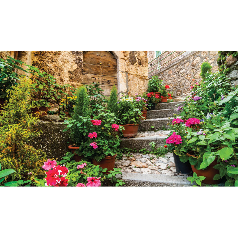 Tuinschilderij Trap met geraniums 130x70cm