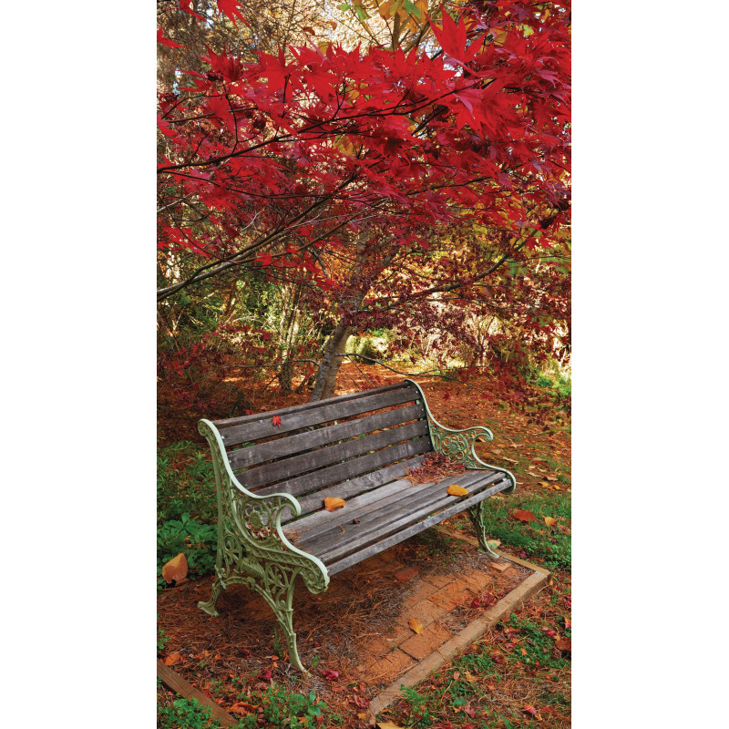 Tuinschilderij Bankje 70x130cm