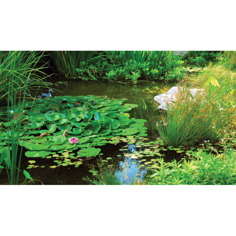 Tuinschilderij Wilde vijver 130x70cm