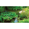 Tuinschilderij Wilde vijver 130x70cm