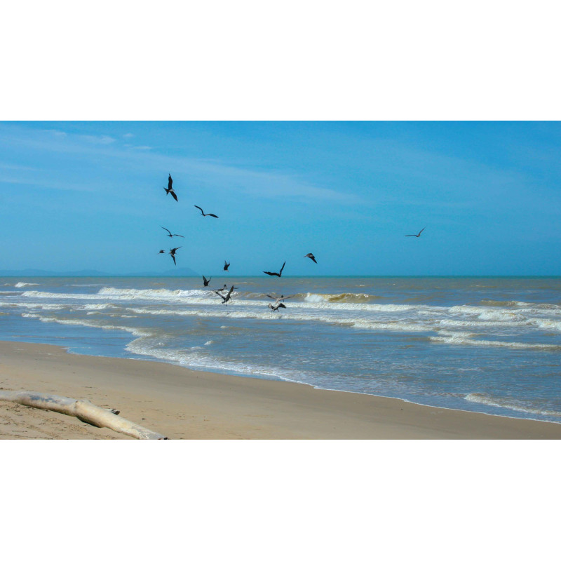 Tuinschilderij Meeuwen zee 130x70cm