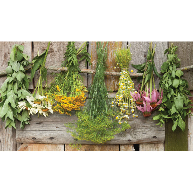 Tuinschilderij Bosjes kruiden 130x70cm