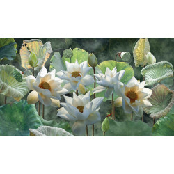 Tuinschilderij Lotusbloemen...