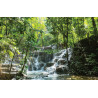 Tuinposter Waterval tredes 140x90cm