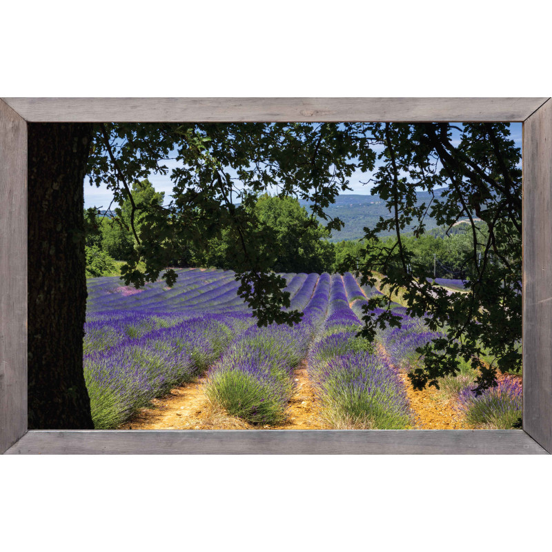 Tuinposter lijst ht lavendelveld 140x90cm