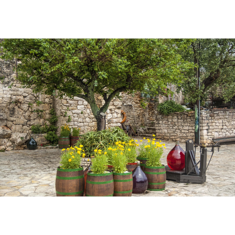 Bloemen in vaten 70x50cm