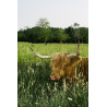Hooglander veld 50x70cm
