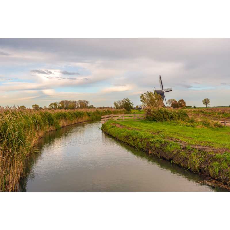 Polderlandschap 70x50cm