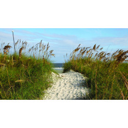 Strand wind 130x70cm