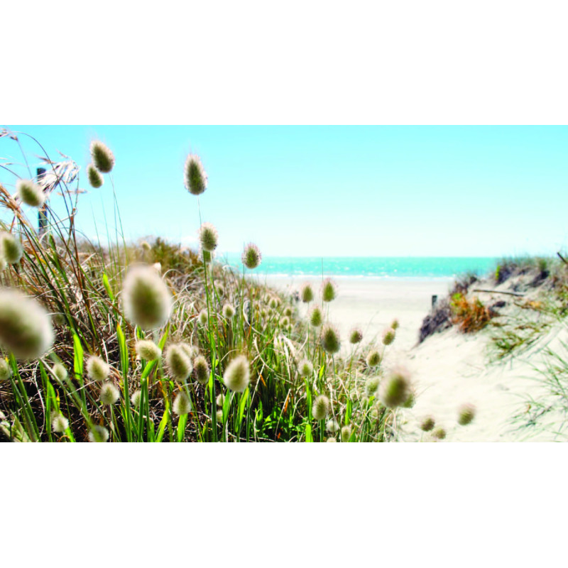 Katoenstaart 130x70cm