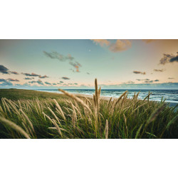 Strand skyline 130x70cm