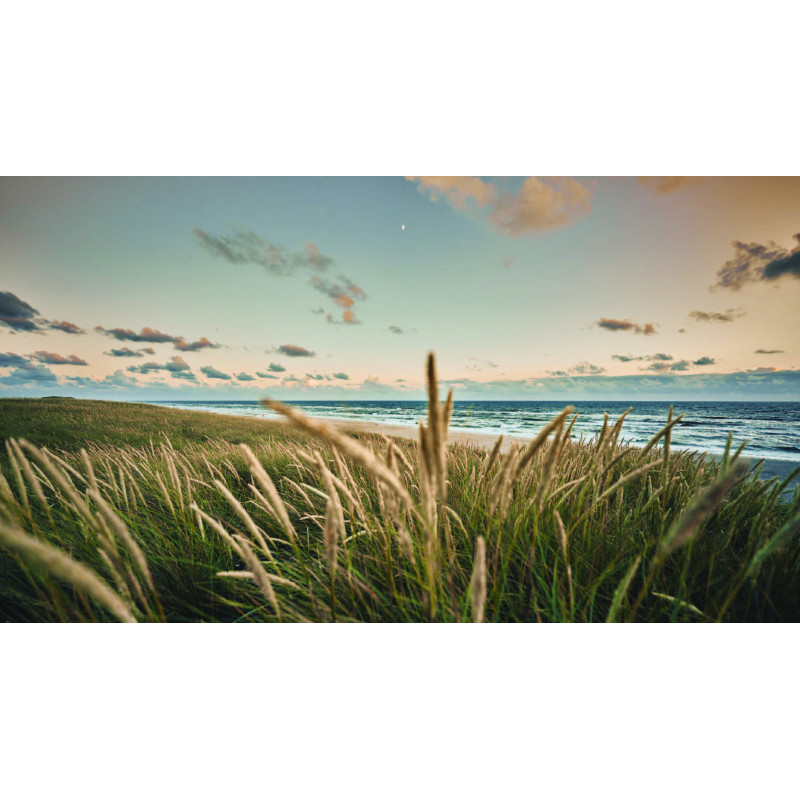 Strand skyline 70x50cm