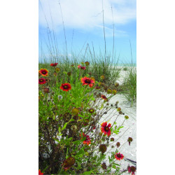 Florida Flowers 70x50cm