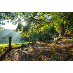 Bank onder boom 50x30cm