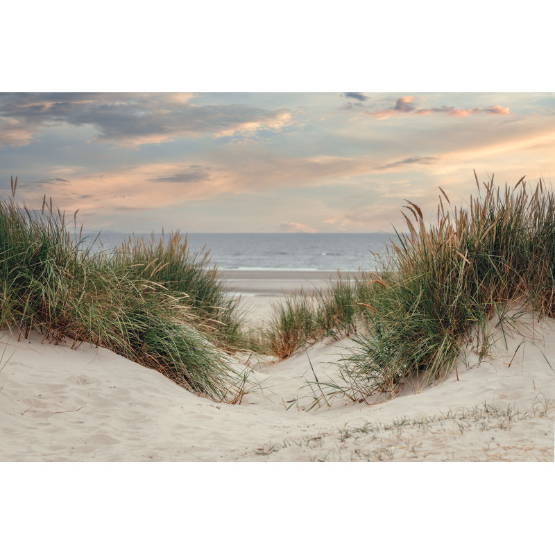 Hollandse duinen 50x30cm