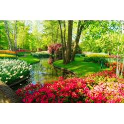 Kleurenpracht 50x30cm