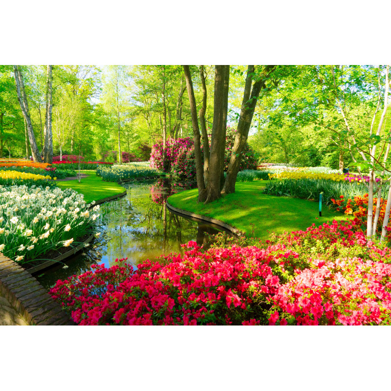 Kleurenpracht 50x30cm