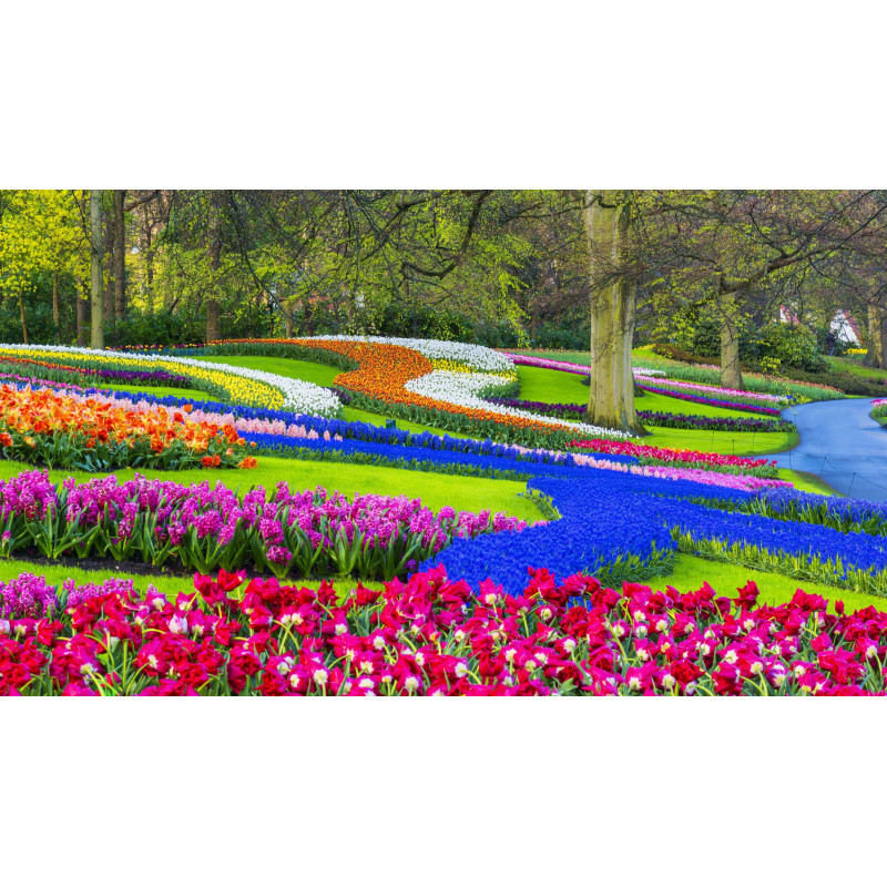 Bloemenflora 50x30cm