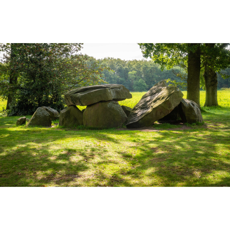 Hunebed Borger 50x30cm