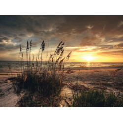 Strand avond 50x30cm