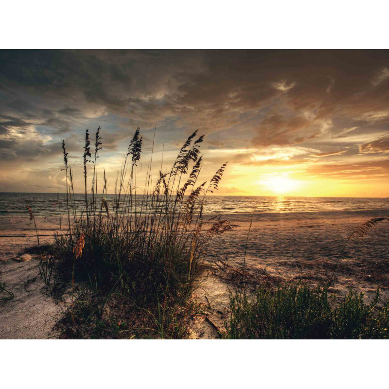 Strand avond 50x30cm