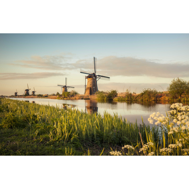 Molens retro 50x30cm