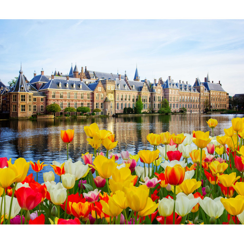 Regering tulpen 50x30cm